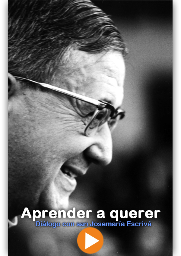 Aprender a querer