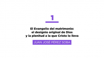 Curso Matrimonio - 01 El evangelio del matrimonio, Juan José Pérez Soba